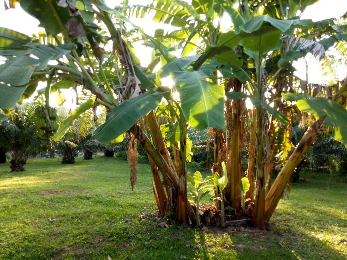 Baan Reenaa Lanta Ko Lanta Kültér fotó